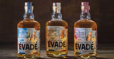 Evasion gourmande : découvrez les saveurs de Malts & Houblons