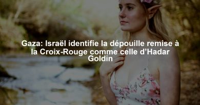 Gaza: Israël identifie la dépouille remise à la Croix-Rouge comme celle d’Hadar Goldin