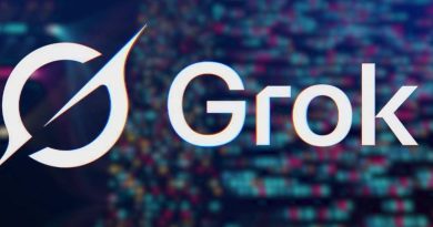 Grok : l'IA d'Elon Musk au service de thèses négationnistes