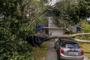 100 millions d'euros par an : la Gironde, première en France pour les dégâts climatiques