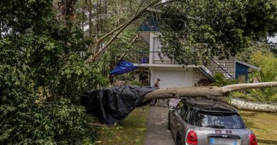 100 millions d'euros par an : la Gironde, première en France pour les dégâts climatiques