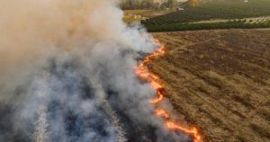 COP30 : enjeux et perspectives pour un avenir durable