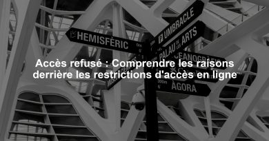 Accès refusé : Comprendre les raisons derrière les restrictions d'accès en ligne