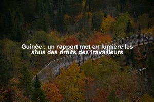 Guinée : un rapport met en lumière les abus des droits des travailleurs