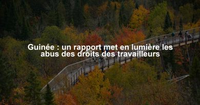 Guinée : un rapport met en lumière les abus des droits des travailleurs