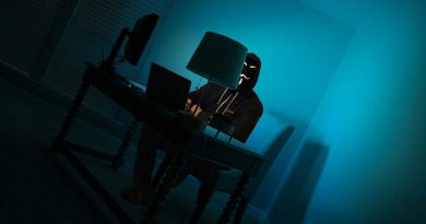 Hacker Pirate Piratage