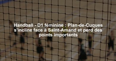 Handball - D1 féminine : Plan-de-Cuques s'incline face à Saint-Amand et perd des points importants