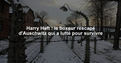 Harry Haft : le boxeur rescapé d'Auschwitz qui a lutté pour survivre