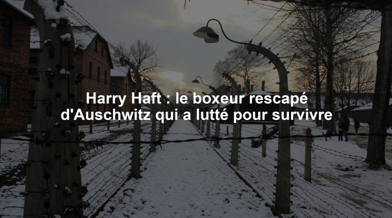 Harry Haft : le boxeur rescapé d'Auschwitz qui a lutté pour survivre