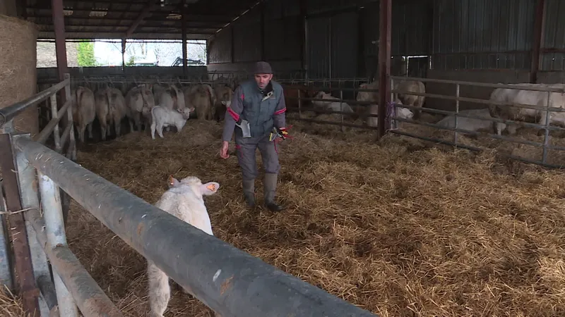 L'association'Solidarité paysans' a accompagné une quinzaine d'agriculteurs dans l'Yonne en 2024.