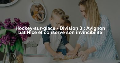 Hockey-sur-glace - Division 3 : Avignon bat Nice et conserve son invincibilité