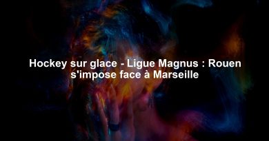 Hockey sur glace - Ligue Magnus : Rouen s'impose face à Marseille