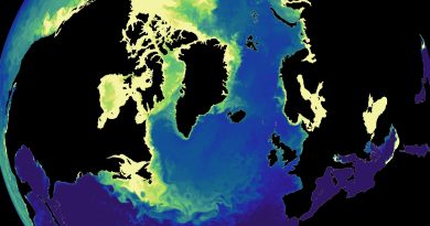 Rendre les expériences du modèle AMOC plus réalistes : méthodes et approches