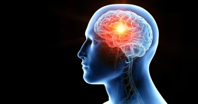 Des nanodrops nasaux éliminent les tumeurs cérébrales chez les souris