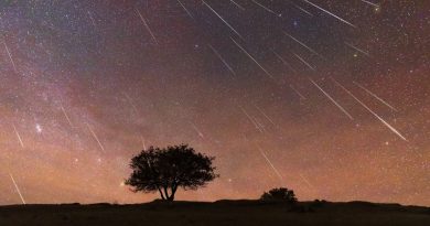 Une pluie d'étoiles filantes exceptionnelle à observer bientôt dans le ciel