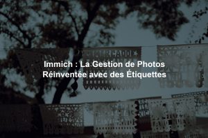 Immich : La Gestion de Photos Réinventée avec des Étiquettes