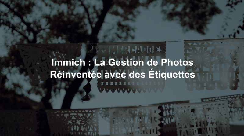 Immich : La Gestion de Photos Réinventée avec des Étiquettes