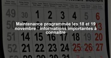 Maintenance programmée les 18 et 19 novembre : informations importantes à connaître
