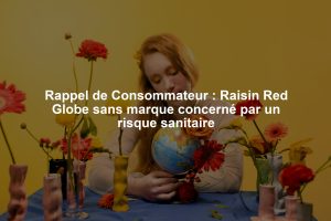 Rappel de Consommateur : Raisin Red Globe sans marque concerné par un risque sanitaire