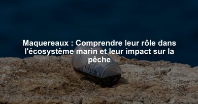 Maquereaux : Comprendre leur rôle dans l'écosystème marin et leur impact sur la pêche