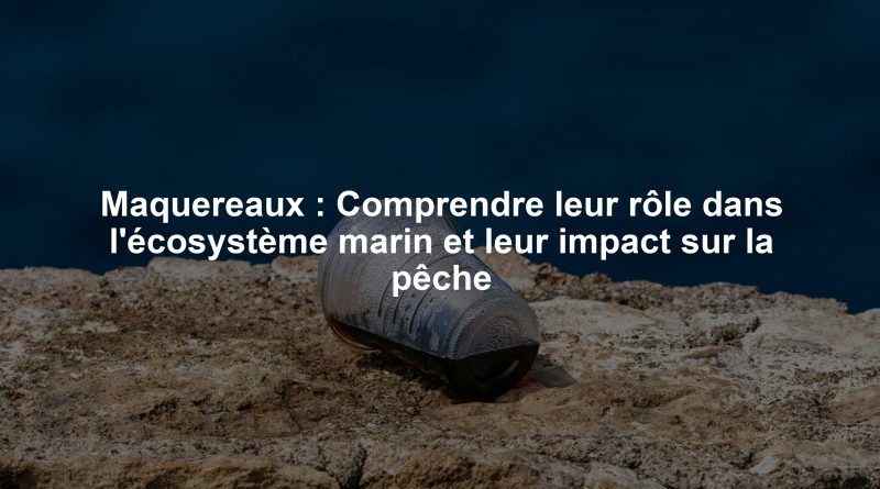 Maquereaux : Comprendre leur rôle dans l'écosystème marin et leur impact sur la pêche