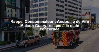 Rappel Consommateur : Andouille de Vire Maison Guery tressée à la main concernée