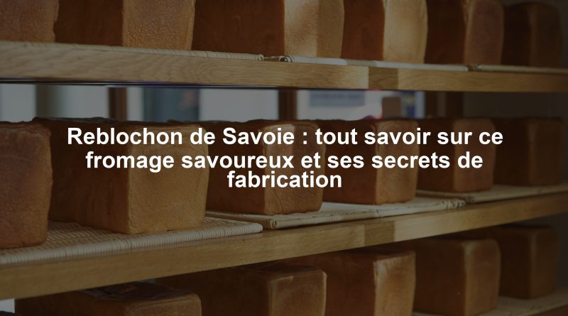 Reblochon de Savoie : tout savoir sur ce fromage savoureux et ses secrets de fabrication