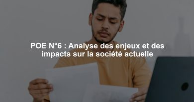 POE N°6 : Analyse des enjeux et des impacts sur la société actuelle