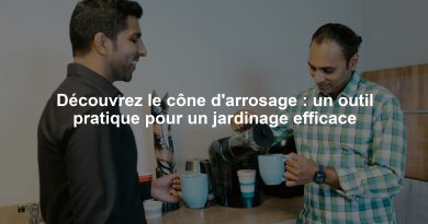 Découvrez le cône d'arrosage : un outil pratique pour un jardinage efficace