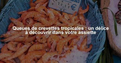 Queues de crevettes tropicales : un délice à découvrir dans votre assiette