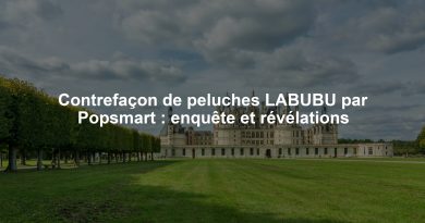 Contrefaçon de peluches LABUBU par Popsmart : enquête et révélations