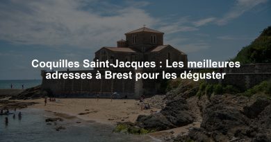 Coquilles Saint-Jacques : Les meilleures adresses à Brest pour les déguster