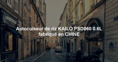 Autocuiseur de riz KAILO PSD060 0.6L fabriqué en CHINE
