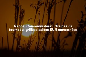 Rappel Consommateur : Graines de tournesol grillées salées SUN concernées