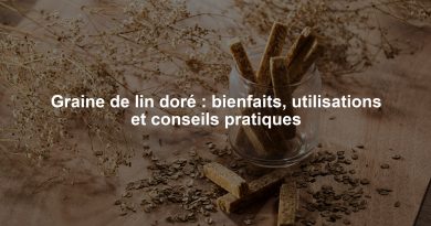Graine de lin doré : bienfaits, utilisations et conseils pratiques