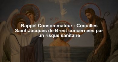 Rappel Consommateur : Coquilles Saint-Jacques de Brest concernées par un risque sanitaire