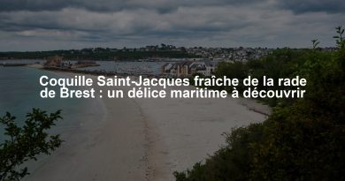 Coquille Saint-Jacques fraîche de la rade de Brest : un délice maritime à découvrir