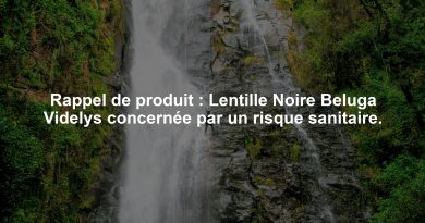 Rappel de produit : Lentille Noire Beluga Videlys concernée par un risque sanitaire.