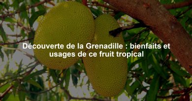 Découverte de la Grenadille : bienfaits et usages de ce fruit tropical