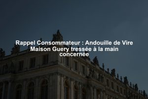 Rappel Consommateur : Andouille de Vire Maison Guery tressée à la main concernée