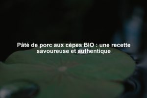 Rappel de produit : Pâté de porc au Jurançon BIO de la marque Henri et Jean