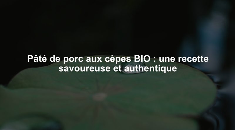 Pâté de porc aux cèpes BIO : une recette savoureuse et authentique