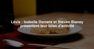 Lévis : Isabelle Demers et Steven Blaney présentent leur bilan d'activité