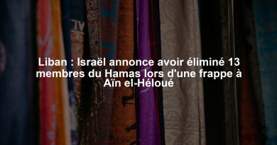 Liban : Israël annonce avoir éliminé 13 membres du Hamas lors d'une frappe à Aïn el-Héloué