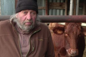 Jacques témoigne : l'administration abat son troupeau de vaches saines
