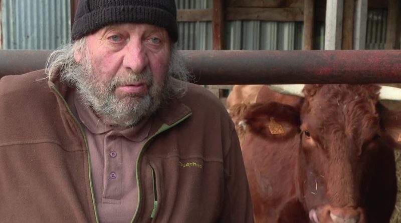 Jacques témoigne : l'administration abat son troupeau de vaches saines