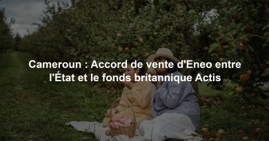 Cameroun : Accord de vente d'Eneo entre l'État et le fonds britannique Actis