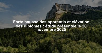 Forte hausse des apprentis et élévation des diplômes : étude présentée le 20 novembre 2025