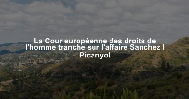 La Cour européenne des droits de l'homme tranche sur l'affaire Sanchez I Picanyol