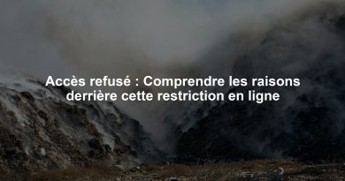 Accès refusé : Comprendre les raisons derrière cette restriction en ligne